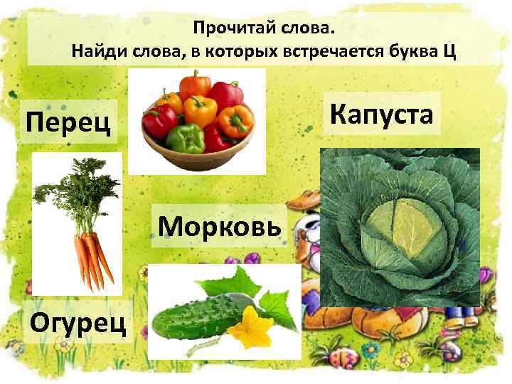 Прочитай слова. Найди слова, в которых встречается буква Ц Капуста Перец Морковь Огурец 