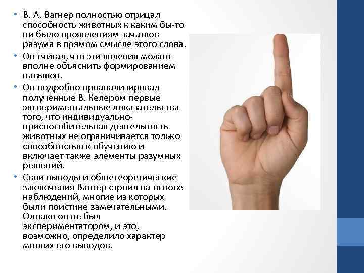  • В. А. Вагнер полностью отрицал способность животных к каким бы-то ни было