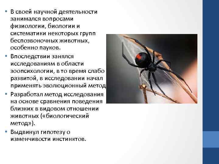 • В своей научной деятельности занимался вопросами физиологии, биологии и систематики некоторых групп