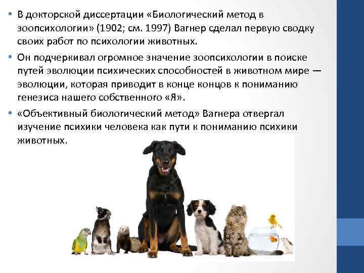  • В докторской диссертации «Биологический метод в зоопсихологии» (1902; см. 1997) Вагнер сделал