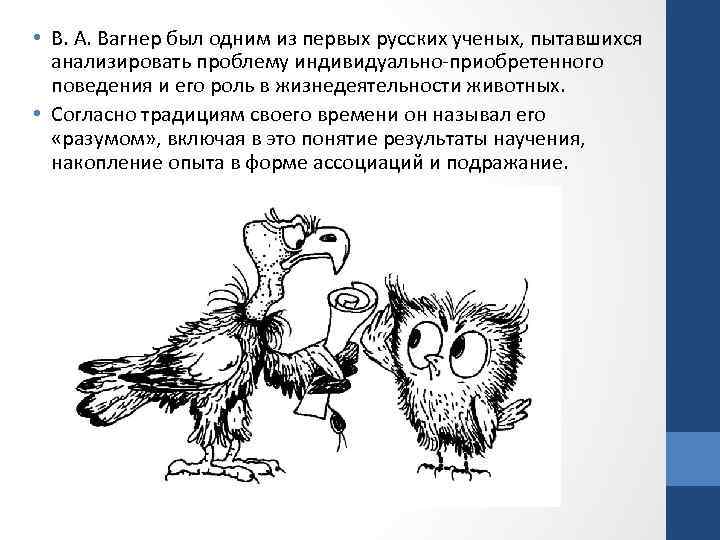  • В. А. Вагнер был одним из первых русских ученых, пытавшихся анализировать проблему