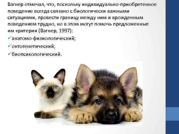 Вагнер отмечал, что, поскольку индивидуально-приобретенное поведение всегда связано с биологически важными ситуациями, провести границу