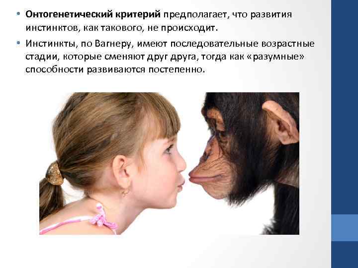  • Онтогенетический критерий предполагает, что развития инстинктов, как такового, не происходит. • Инстинкты,