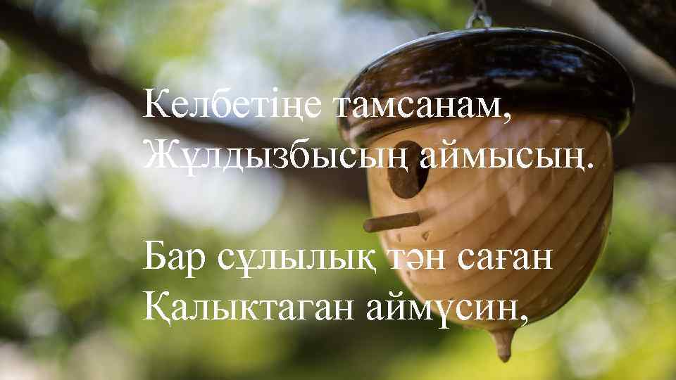Келбетіңе тамсанам, Жұлдызбысың аймысың. Бар сұлылық тән саған Қалыктаган аймүсин, 