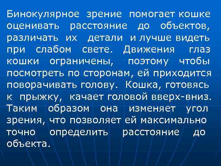 Бинокулярное зрение помогает кошке оценивать расстояние до объектов, различать их детали и лучше видеть