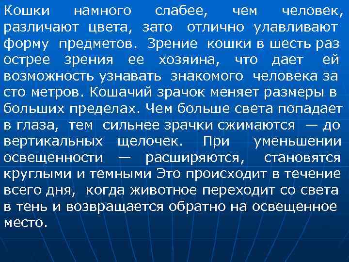 Кошки намного слабее, чем человек, различают цвета, зато отлично улавливают форму предметов. Зрение кошки