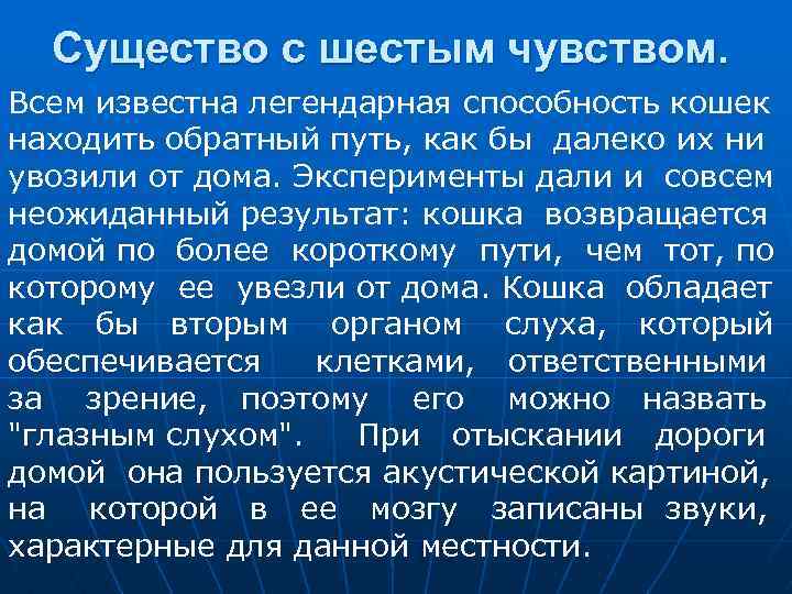 Существо с шестым чувством. Всем известна легендарная способность кошек находить обратный путь, как бы