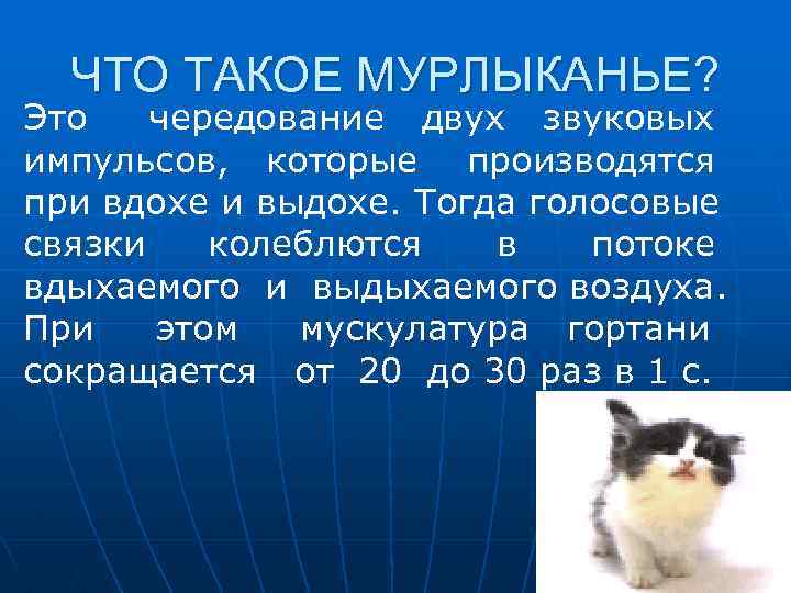 ЧТО ТАКОЕ МУРЛЫКАНЬЕ? Это чередование двух звуковых импульсов, которые производятся при вдохе и выдохе.