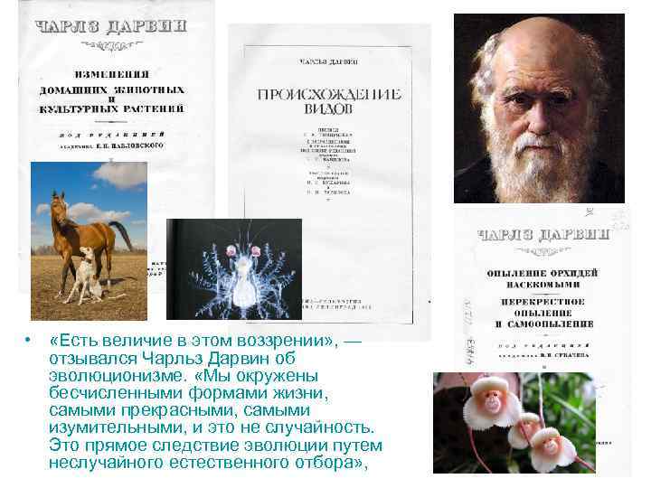  • «Есть величие в этом воззрении» , — отзывался Чарльз Дарвин об эволюционизме.