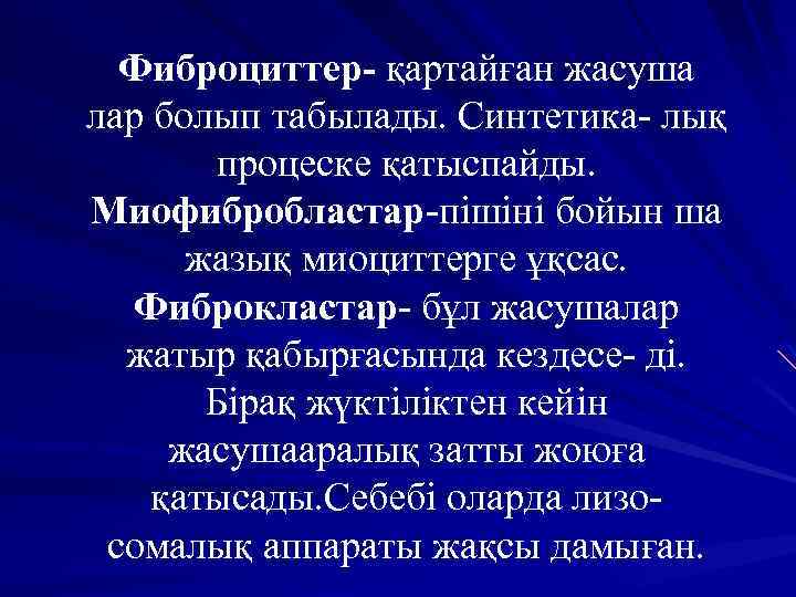Фиброциттер- қартайған жасуша лар болып табылады. Синтетика- лық процеске қатыспайды. Миофибробластар-пішіні бойын ша жазық