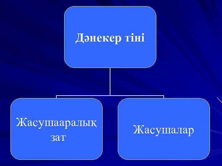 Дәнекер тіні Жасушааралық зат Жасушалар 
