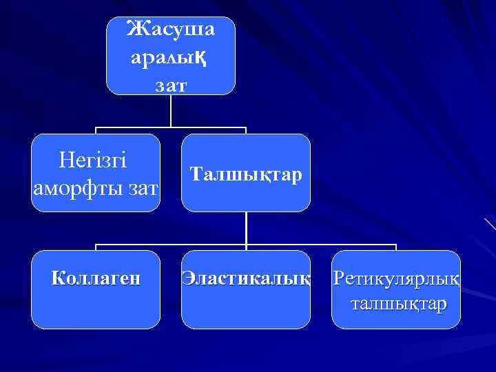 Жасуша аралық зат Негізгі аморфты зат Талшықтар Коллаген Эластикалық Ретикулярлық талшықтар 