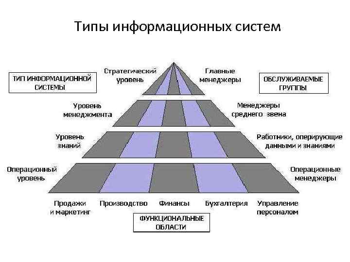 Виды систем организации