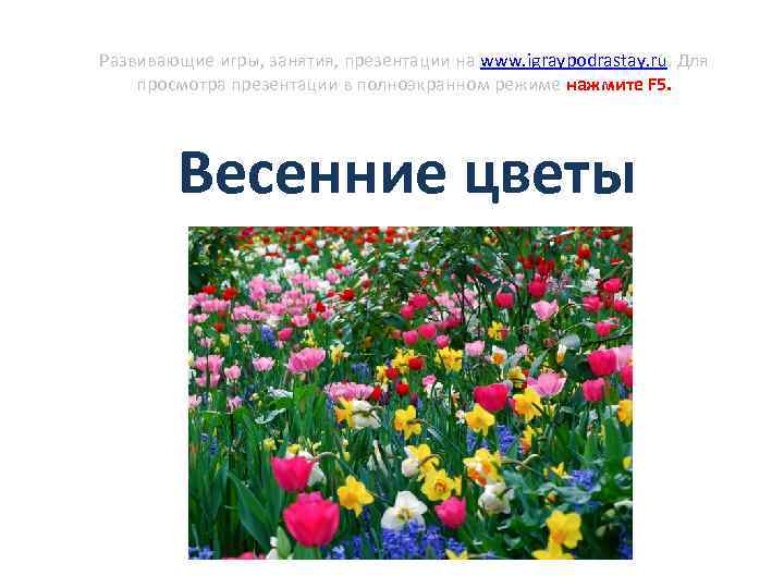 Развивающие игры, занятия, презентации на www. igraypodrastay. ru. Для просмотра презентации в полноэкранном режиме