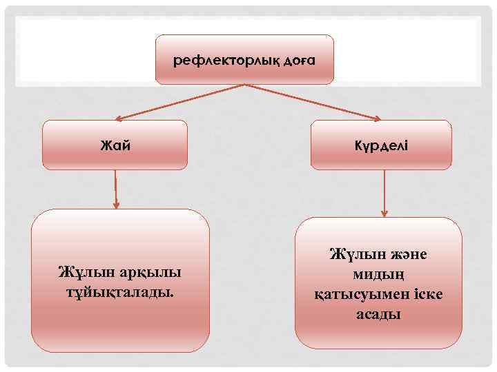 рефлекторлық доға Жай Жұлын арқылы тұйықталады. Күрделі Жүлын және мидың қатысуымен іске асады 