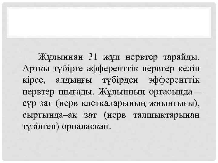  Жұлыннан 31 жұп нервтер тарайды. Артқы түбірге афференттік нервтер келіп кірсе, алдыңғы түбірден