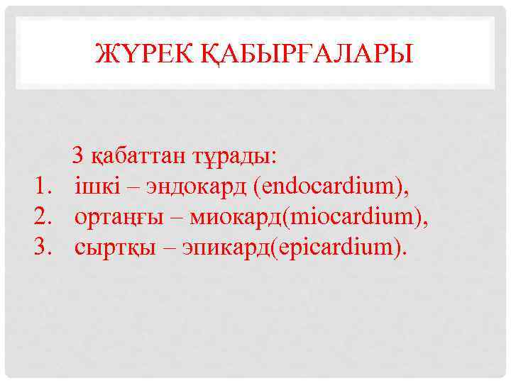 ЖҮРЕК ҚАБЫРҒАЛАРЫ 3 қабаттан тұрады: 1. ішкі – эндокард (endocardium), 2. ортаңғы – миокард(miocardium),