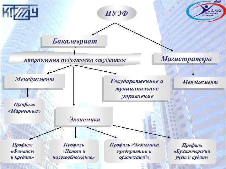 ИУЭФ Бакалавриат направления подготовки студентов Менеджмент Магистратура Государственное и муниципальное управление Менеджмент Профиль «Маркетинг»