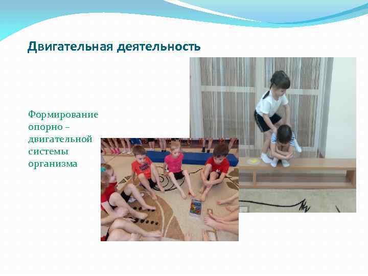Двигательная деятельность Формирование опорно – двигательной системы организма 