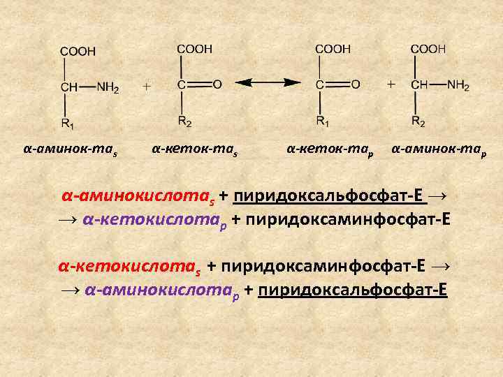  α-аминок-таs α-кеток-тар α-аминокислотаs + пиридоксальфосфат-Е → → α-кетокислотаp + пиридоксаминфосфат-Е α-кетокислотаs + пиридоксаминфосфат-Е