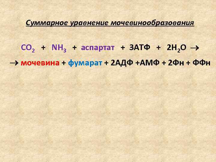 Суммарное уравнение мочевинообразования СО 2 + NH 3 + аспартат + 3 АТФ +