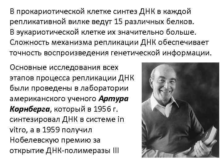 В прокариотической клетке синтез ДНК в каждой репликативной вилке ведут 15 различных белков. В