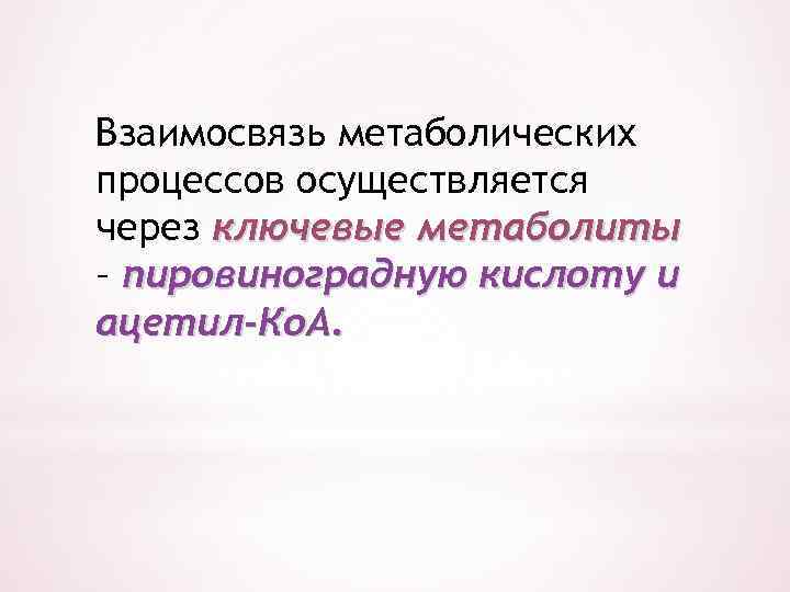 Взаимосвязь метаболических процессов осуществляется через ключевые метаболиты – пировиноградную кислоту и ацетил-Ко. А. 