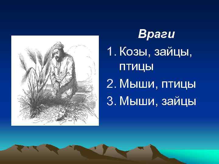 Враги 1. Козы, зайцы, птицы 2. Мыши, птицы 3. Мыши, зайцы 