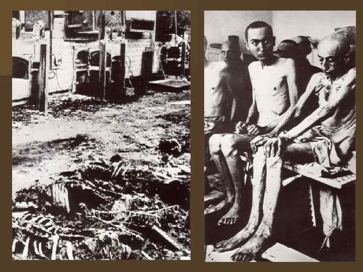 Хроника. Дахау. 