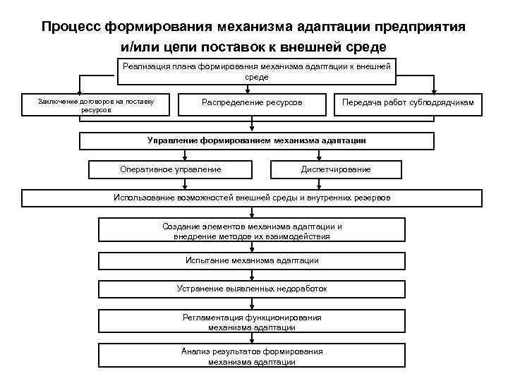 Процесс формирования