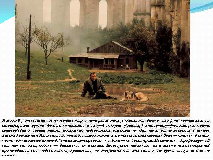 Неподалёку от дома сидит немецкая овчарка, которая может убежать так далеко, что фильм останется