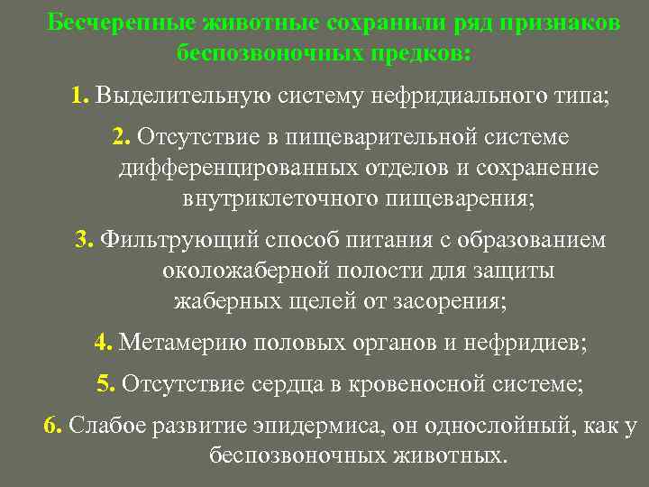 Бесчерепные животные сохранили ряд признаков беспозвоночных предков: 1. Выделительную систему нефридиального типа; 2. Отсутствие