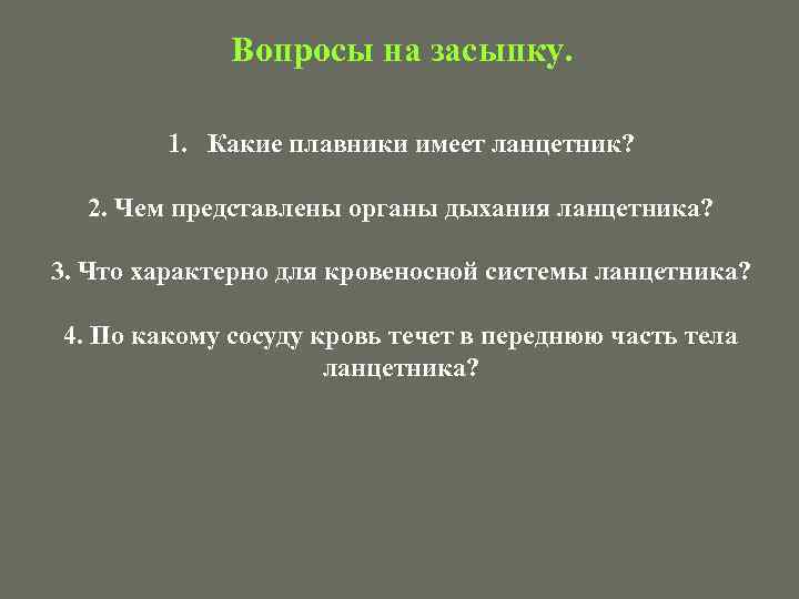 Вопросы на засыпку. 1. Какие плавники имеет ланцетник? 2. Чем представлены органы дыхания ланцетника?