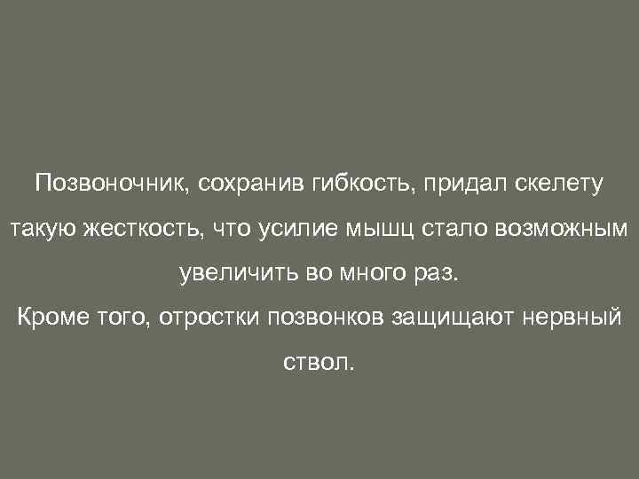 Позвоночник, сохранив гибкость, придал скелету такую жесткость, что усилие мышц стало возможным увеличить во