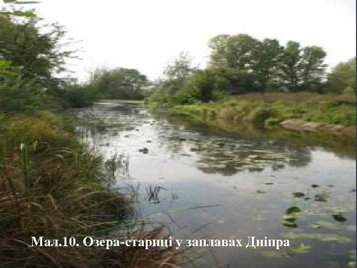  Мал. 10. Озера-стариці у заплавах Дніпра 