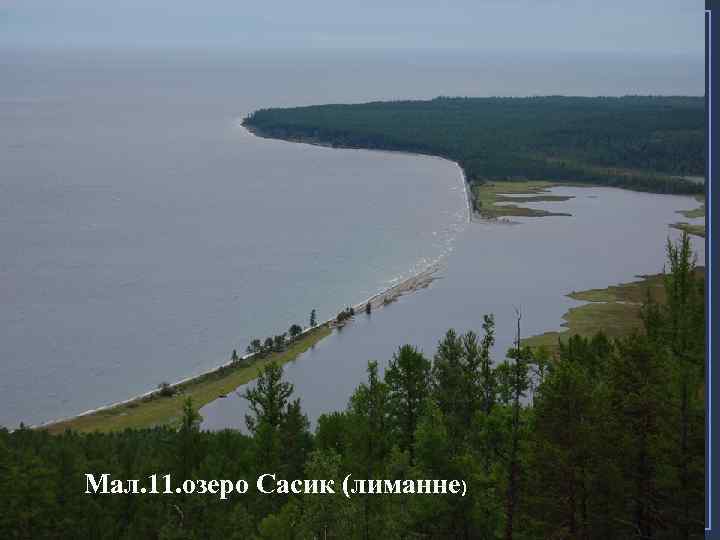 Мал. 11. озеро Сасик (лиманне) 