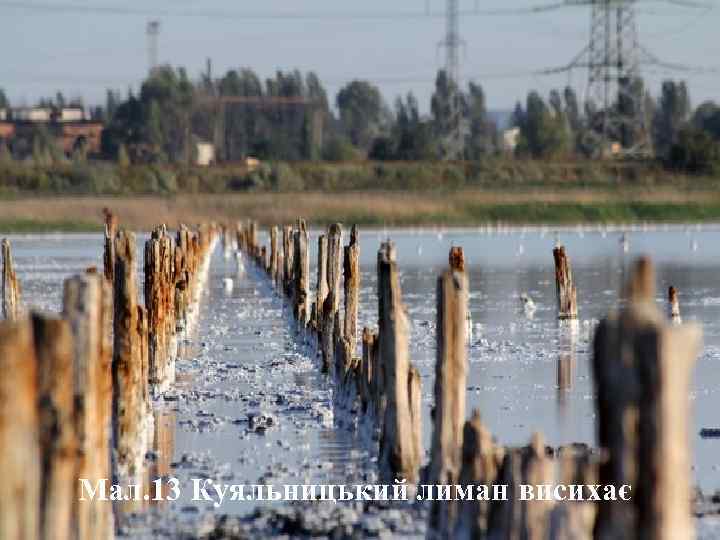 Мал. 13 Куяльницький лиман висихає 