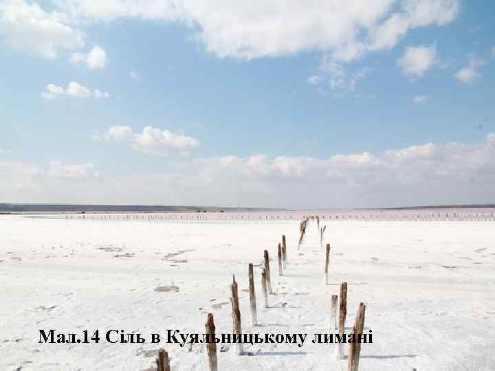 Мал. 14 Сіль в Куяльницькому лимані 