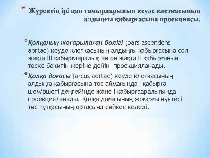 * *Қолқаның жоғарылаған бөлігі (pars ascendens aortae) кеуде клеткасының алдыңғы қабырғасына сол жақта III