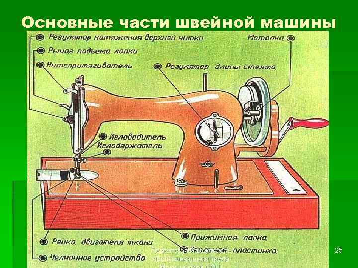 Основные части швейной машины Первитская И. В. учитель обслуживающего труда 25 