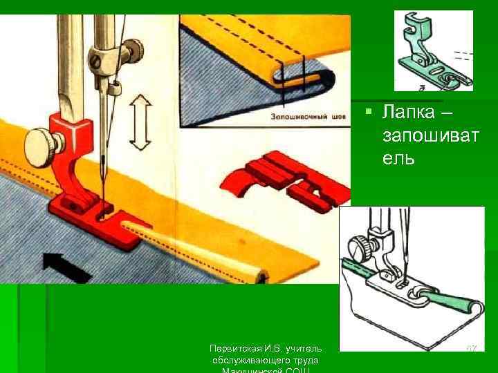 § Лапка – запошиват ель Первитская И. В. учитель обслуживающего труда 67 