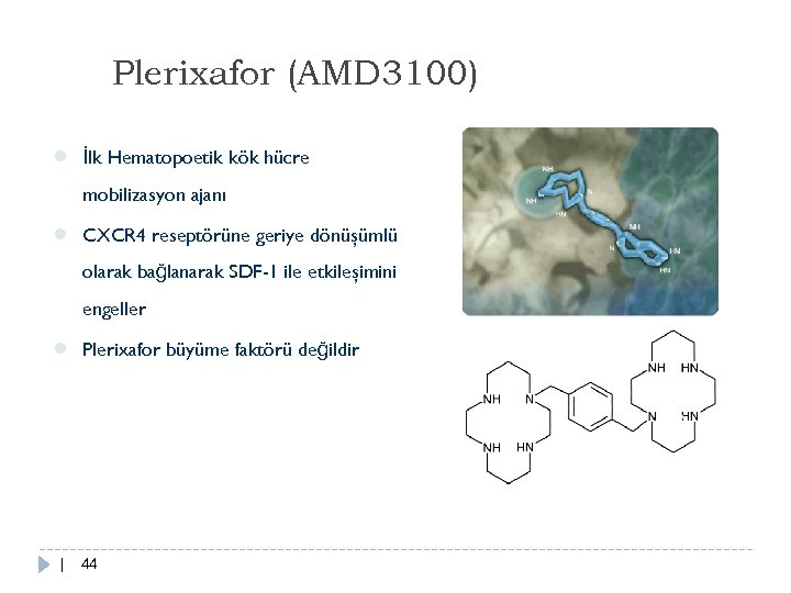 Plerixafor (AMD 3100) ● İlk Hematopoetik kök hücre mobilizasyon ajanı ● CXCR 4 reseptörüne