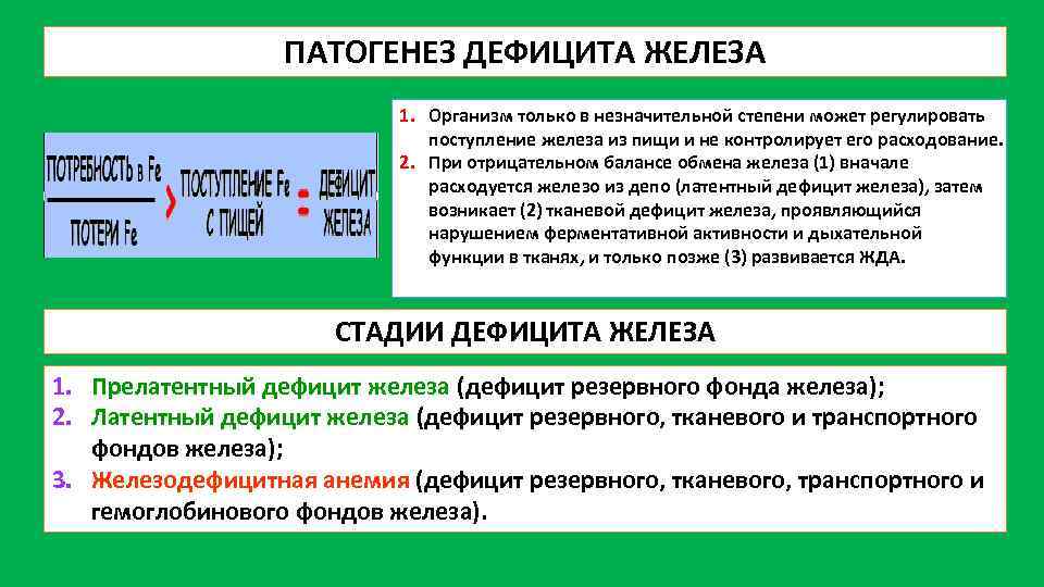 ПАТОГЕНЕЗ ДЕФИЦИТА ЖЕЛЕЗА 1. Организм только в незначительной степени может регулировать поступление железа из