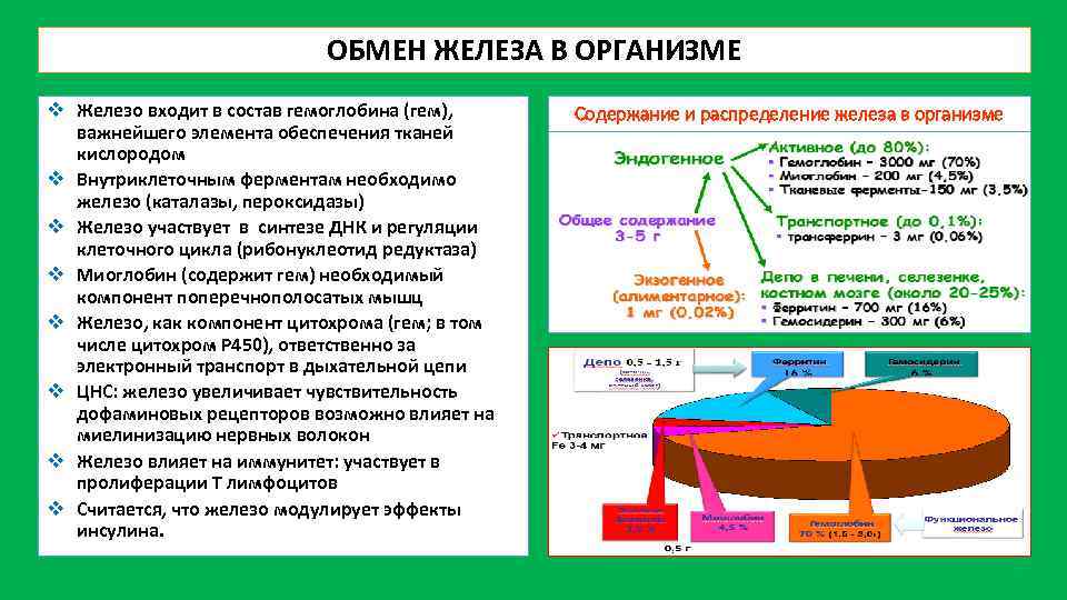 ОБМЕН ЖЕЛЕЗА В ОРГАНИЗМЕ v Железо входит в состав гемоглобина (гем), важнейшего элемента обеспечения