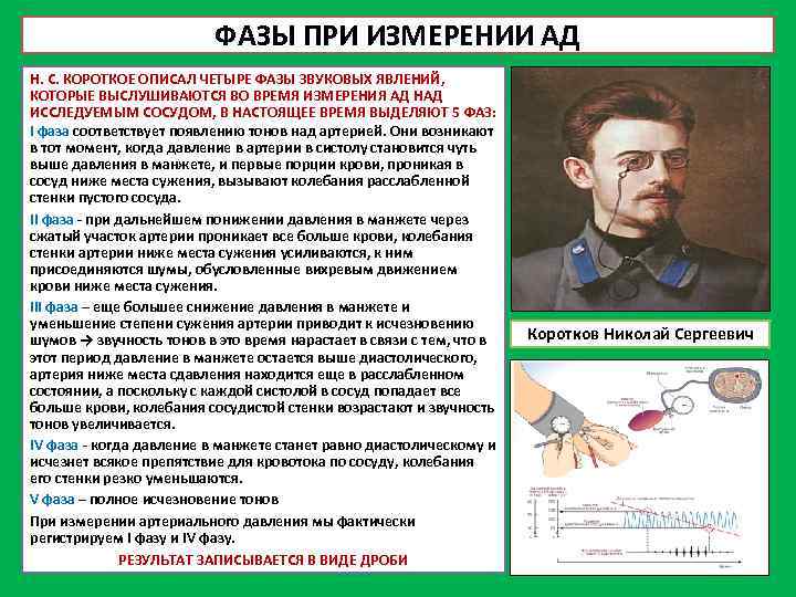 ФАЗЫ ПРИ ИЗМЕРЕНИИ АД Н. С. КОРОТКОЕ ОПИСАЛ ЧЕТЫРЕ ФАЗЫ ЗВУКОВЫХ ЯВЛЕНИЙ, КОТОРЫЕ ВЫСЛУШИВАЮТСЯ