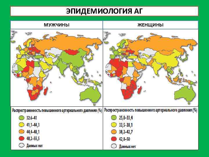 ЭПИДЕМИОЛОГИЯ АГ МУЖЧИНЫ ЖЕНЩИНЫ 