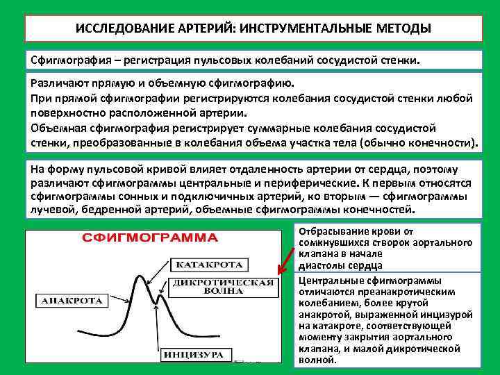 ИССЛЕДОВАНИЕ АРТЕРИЙ: ИНСТРУМЕНТАЛЬНЫЕ МЕТОДЫ Сфигмография – регистрация пульсовых колебаний сосудистой стенки. Различают прямую и