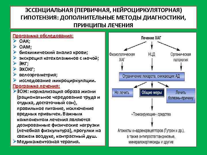 ЭССЕНЦИАЛЬНАЯ (ПЕРВИЧНАЯ, НЕЙРОЦИРКУЛЯТОРНАЯ) ГИПОТЕНЗИЯ: ДОПОЛНИТЕЛЬНЫЕ МЕТОДЫ ДИАГНОСТИКИ, ПРИНЦИПЫ ЛЕЧЕНИЯ Программа обследования: Ø ОАК; Ø