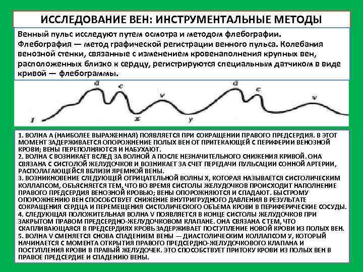 ИССЛЕДОВАНИЕ ВЕН: ИНСТРУМЕНТАЛЬНЫЕ МЕТОДЫ Венный пульс исследуют путем осмотра и методом флебографии. Флебография —