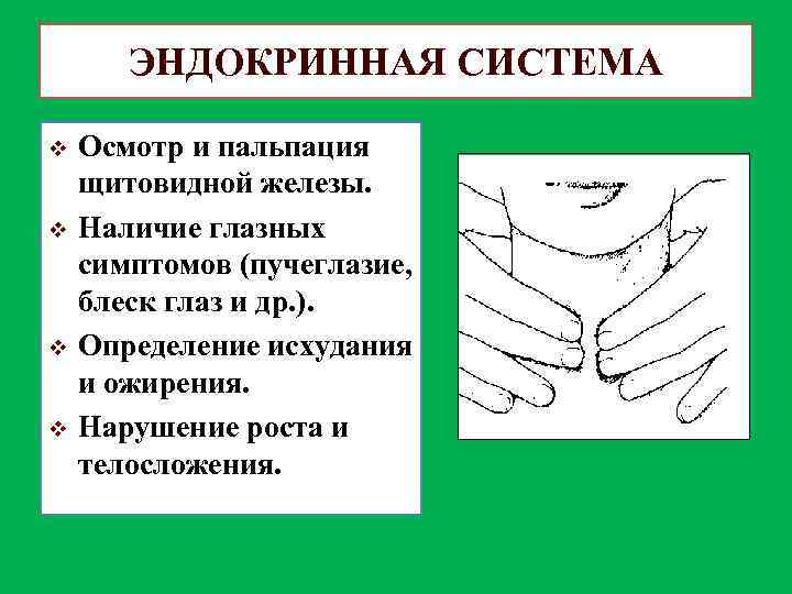 ЭНДОКРИННАЯ СИСТЕМА v v Осмотр и пальпация щитовидной железы. Наличие глазных симптомов (пучеглазие, блеск